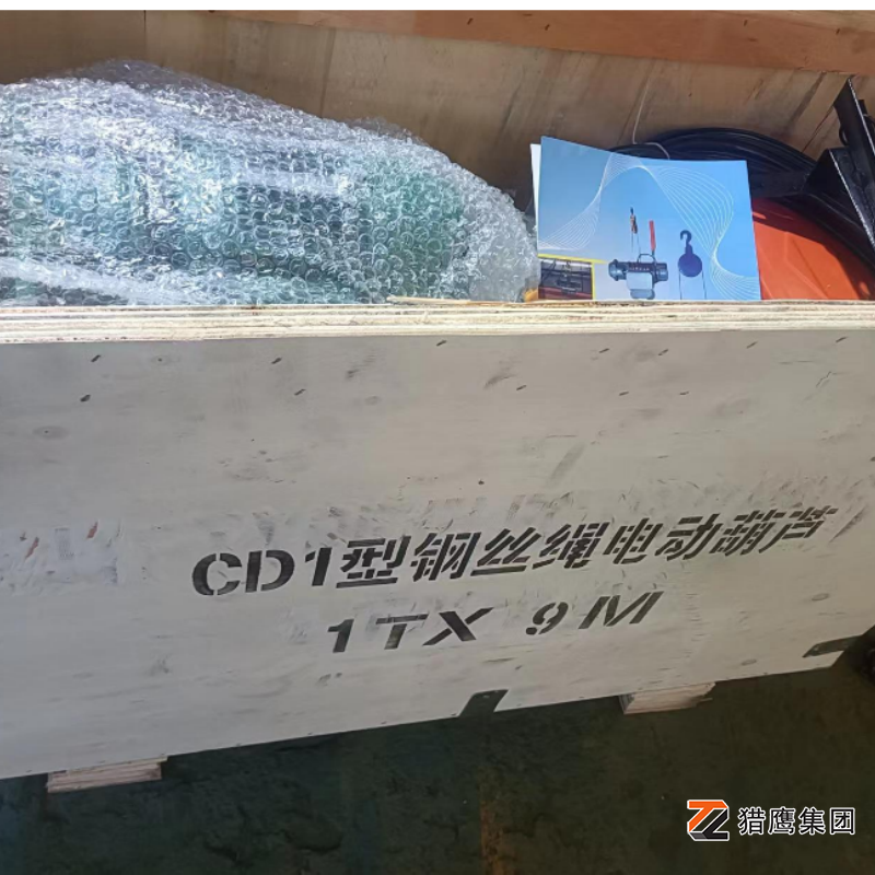鋼絲繩電動(dòng)葫蘆